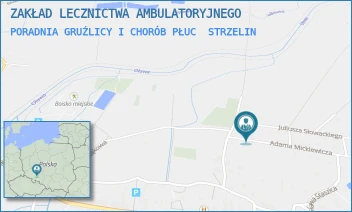 PORADNIA GRUŹLICY I CHORÓB PŁUC - ZAKŁAD LECZNICTWA AMBULATORYJNEGO - UL. ADAMA MICKIEWICZA 20,  STRZELIN